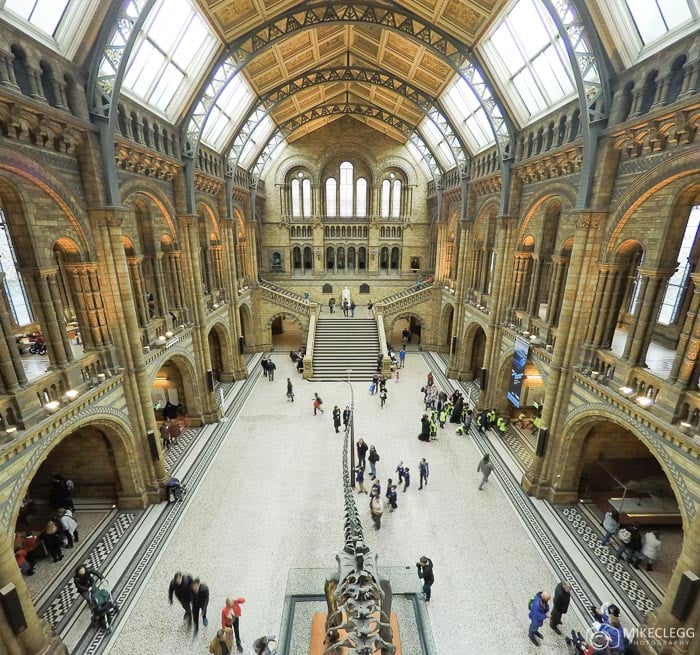 Natural History Museum interior in London