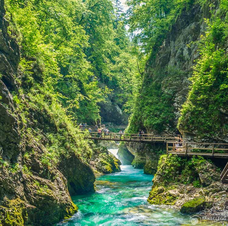 Green vegetation along Vintgar Gorge