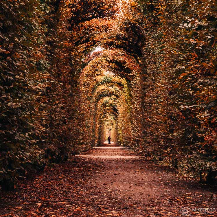 Schönbrunn Tunnel
