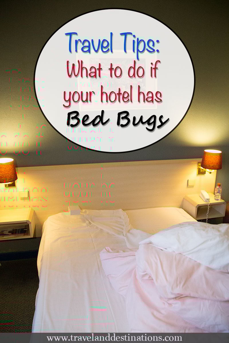 Travel Tips What to Do If Your Hotel Has Bed Bugs TAD