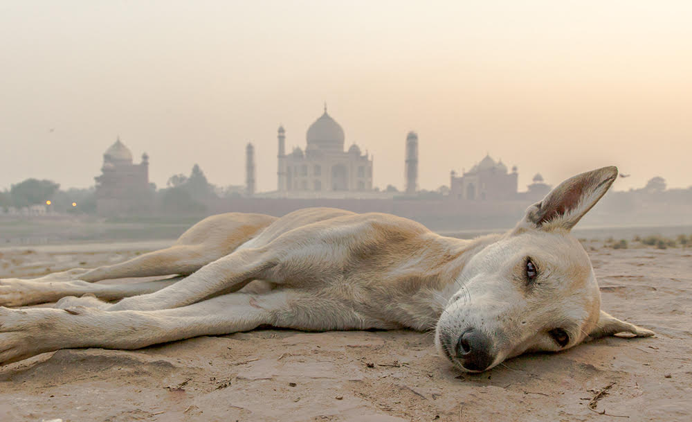 Taj Mahal, India - DanflyingSolo