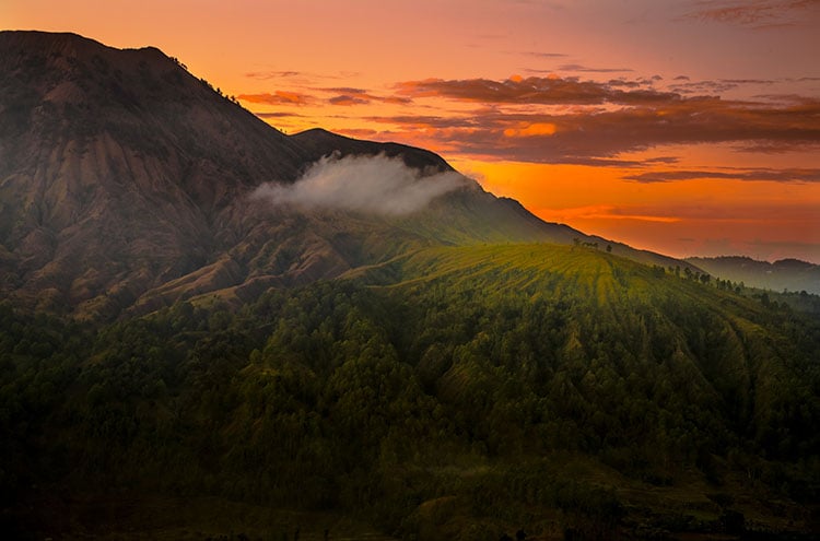 Bali