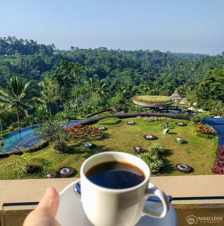 Jungle and Coffee Views at Padma Ubud