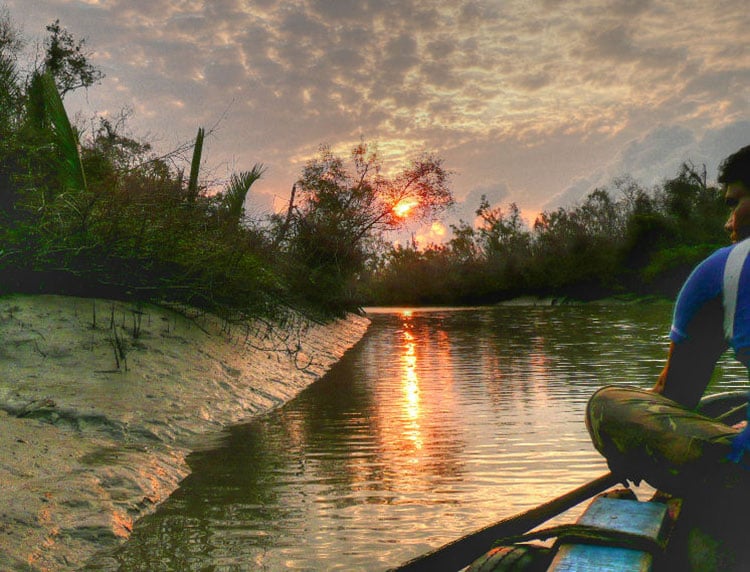 Sundarbans national park, India