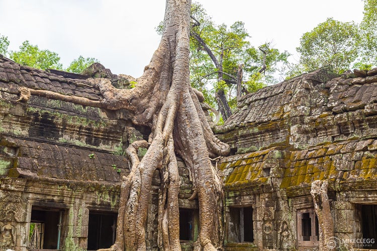 Ta Prohm