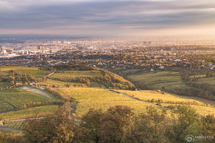 Views of Vienna from Kahlenberg at sunset