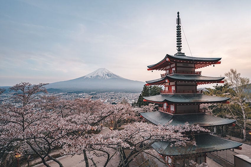 Chureito Pagoda and Mt Fuji, Sakura season, Japan - ©Kohki