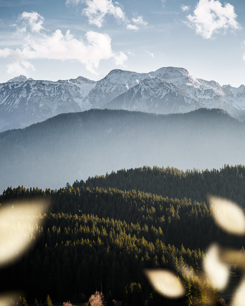 Alps by Julian Herbrig