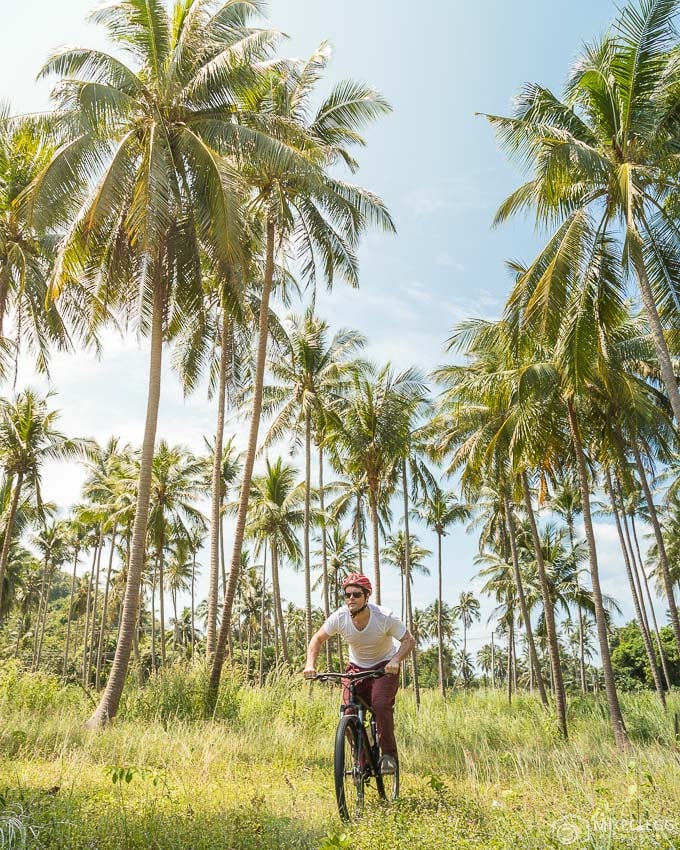 Cycling through Coconut plantations in Thailand