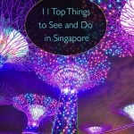 11 Top Things to See and Do in Singapore