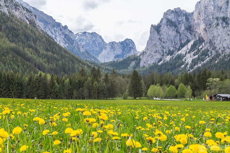 Mountain and scenic views in Tragöß, Austria