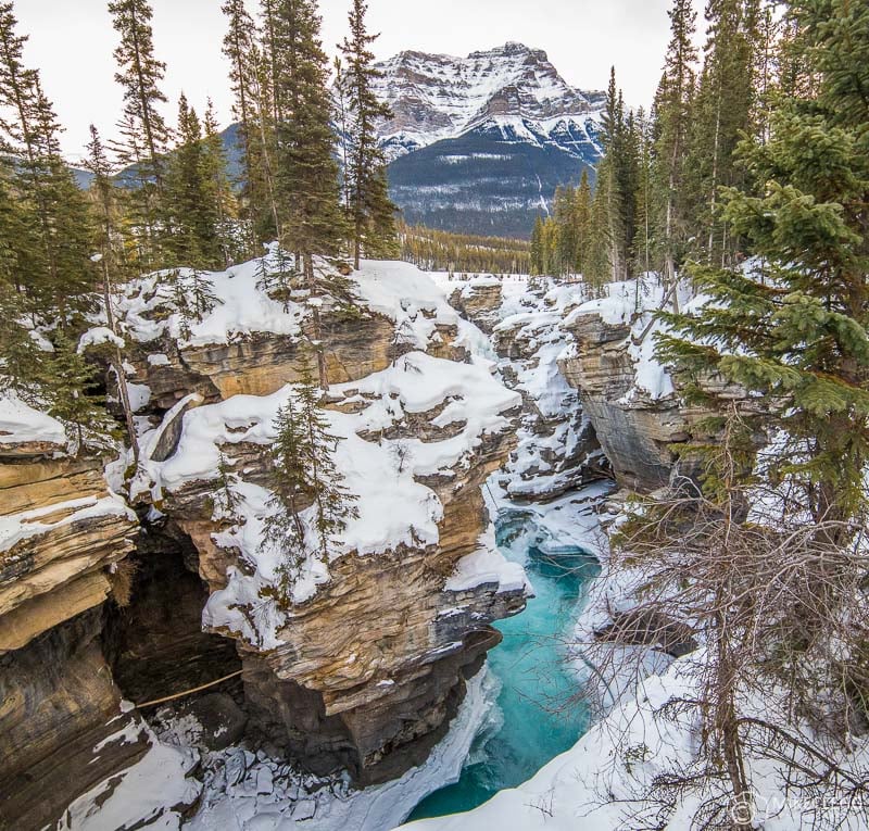 Athabasca Falls in the winter