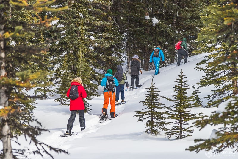 Snowshoe hikes with Rockies Heli, Canada