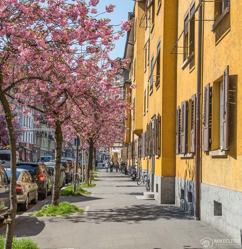 Gasometerstrasse, Zurich in the Spring with pink blossoms