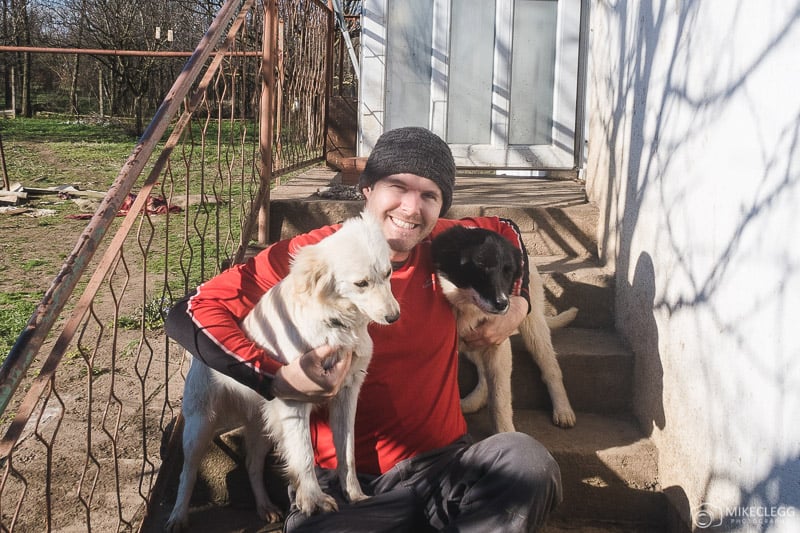 Mike and dogs at Helens House of hope Dog Sanctuary