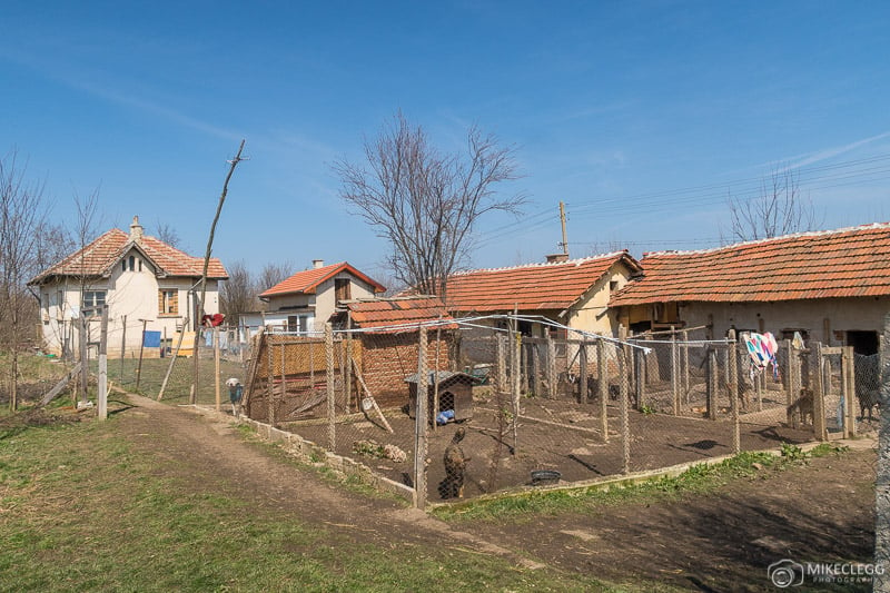 Pens for the dogs at the Sanctuary