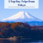 5 Top Day Trips from Tokyo