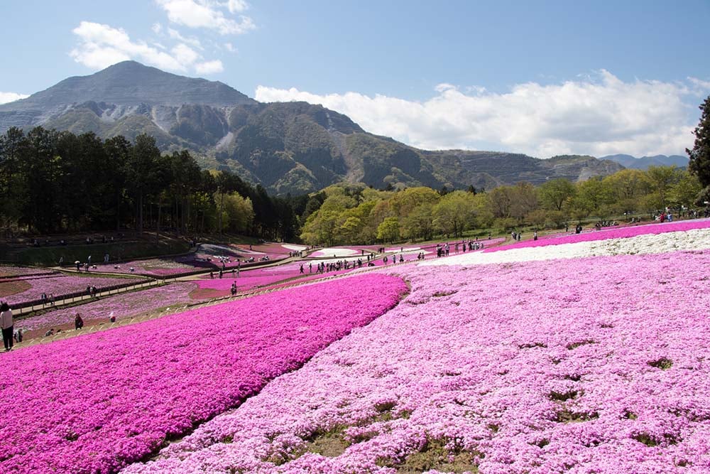 Hitsujiyama Park