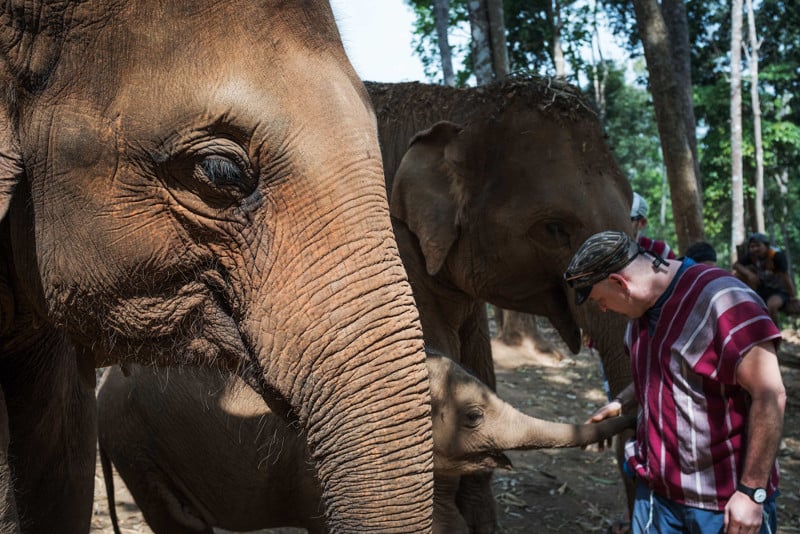 Elephant Jungle Sanctuary 3 - Chiang Mai - © Sebastian Jacobitz