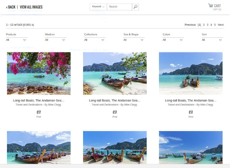 Online store on blog