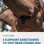 Pinterest - 5 Elephant Sanctuaries to Visit near Chiang Mai