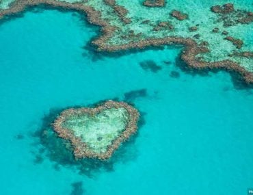 Heart Reef - Great Barrier Reef