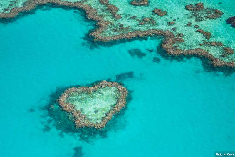 Heart Reef - Great Barrier Reef