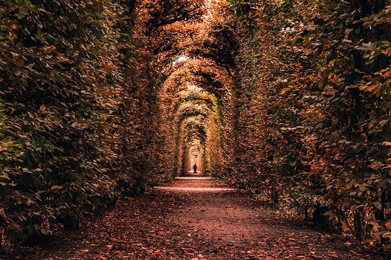 Top Places in Europe to Visit this Autumn