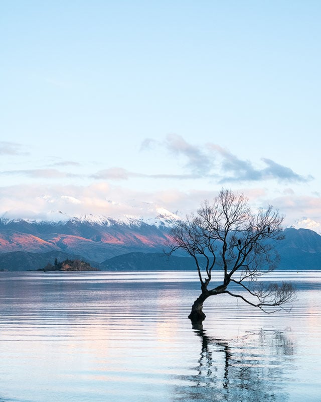 Lake Wanaka -hamish-clark-365162-unsplash