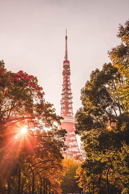 Tokyo Tower, Japan - charles-postiaux-CC0