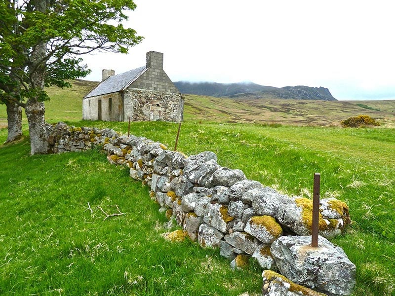 Irlande-Campagne --- CC0