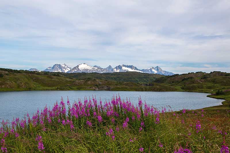 Lost Lake, Alaska and Kenai Mountains