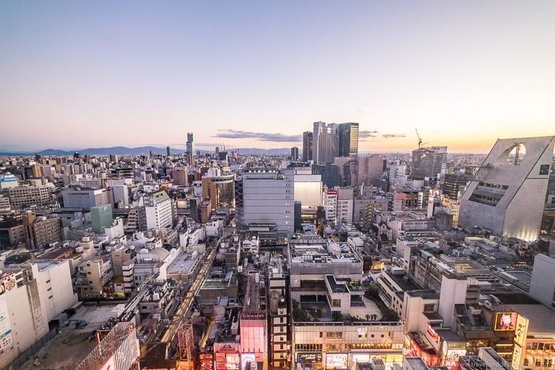 Views of Osaka from the Ferris Wheel (Ebisu Tower)