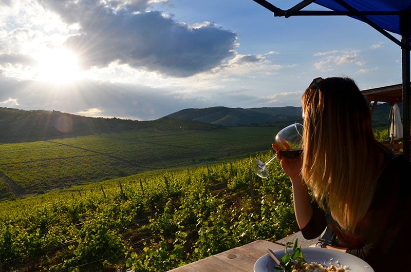 Vineyards along River Vardar