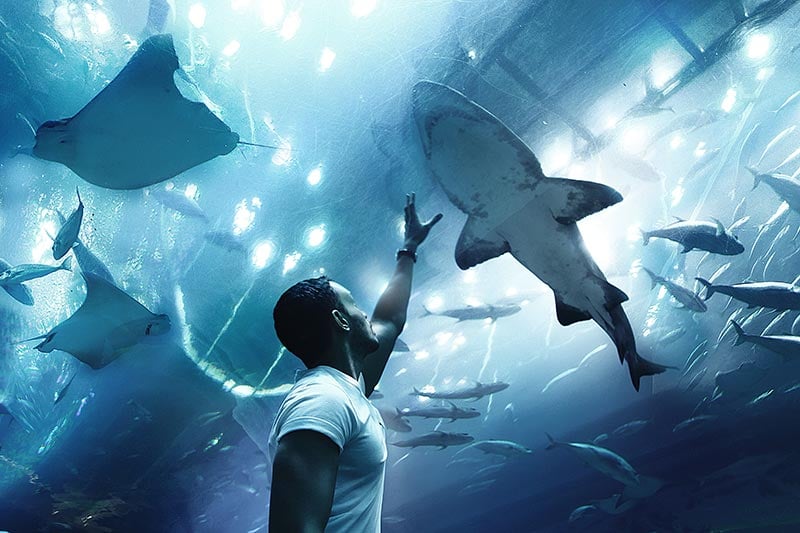 Dubai Aquarium - by Moon-unsplash