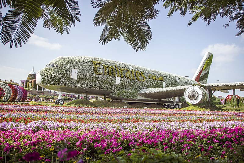 Dubai Miracle Garden- Dubai