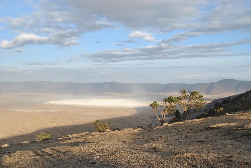 Ngorongoro crater 