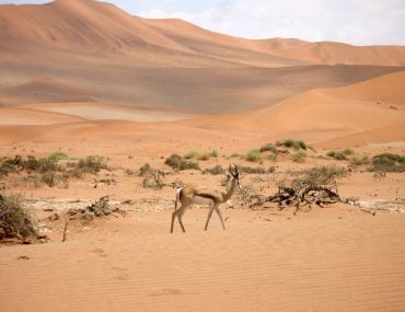 Namibia