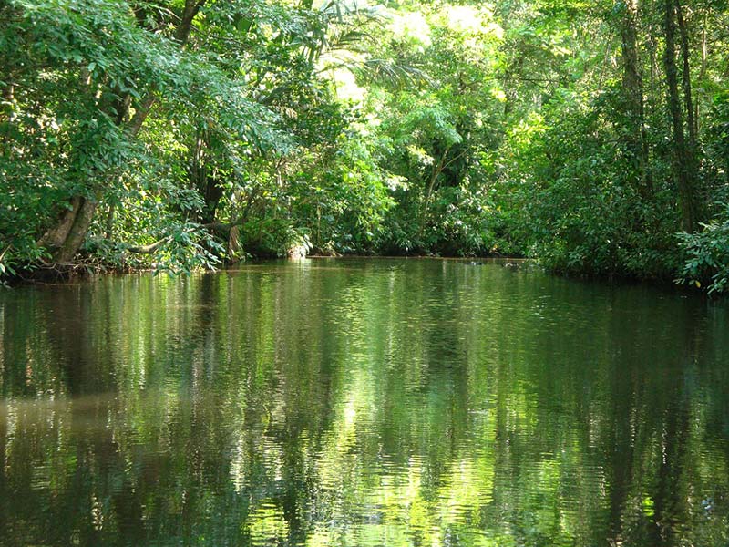 Tortuguero, Costa Rica
