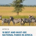 10 Best and Must-See National Parks in Africa - pin