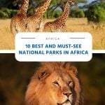 10 Best and Must-Visit National Parks in Africa