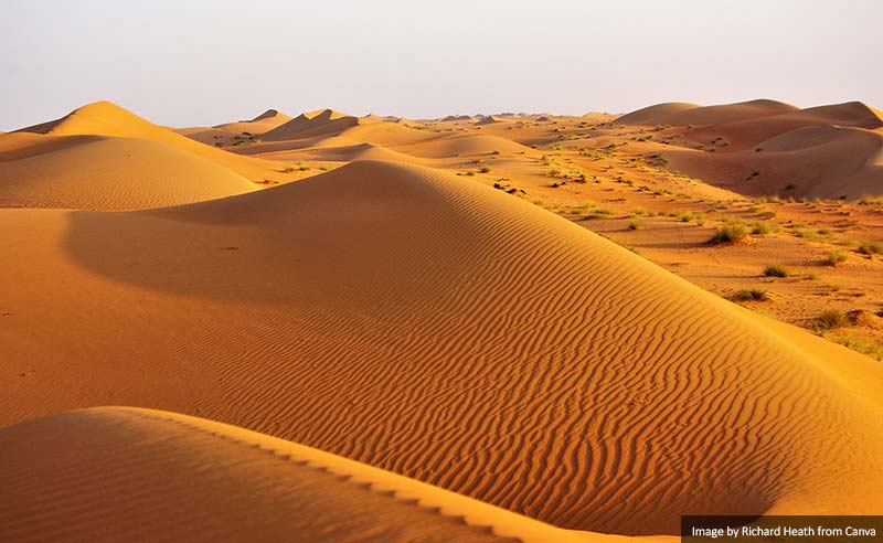 The Wahiba Sands of the Arabian Desert