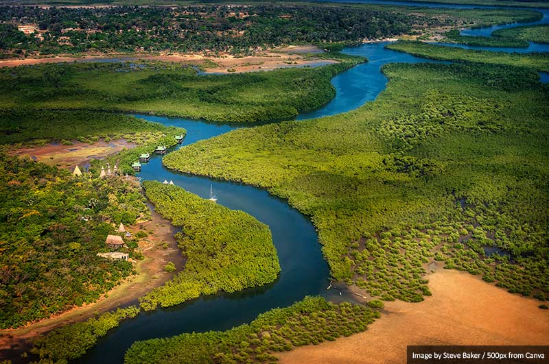 Gambia River