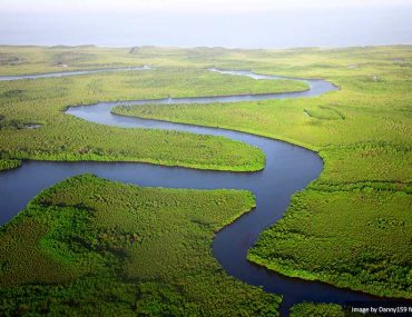 The Gambia River