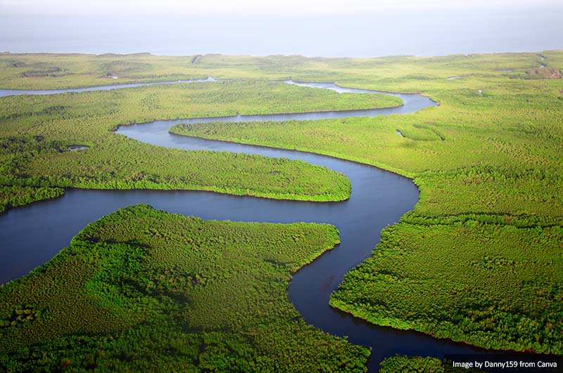 The Gambia River