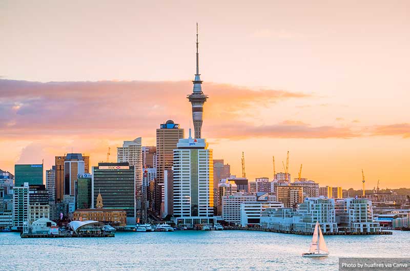 cities to visit in nz