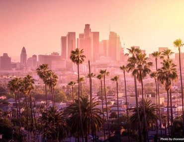 Los Angeles skyline and palm trees