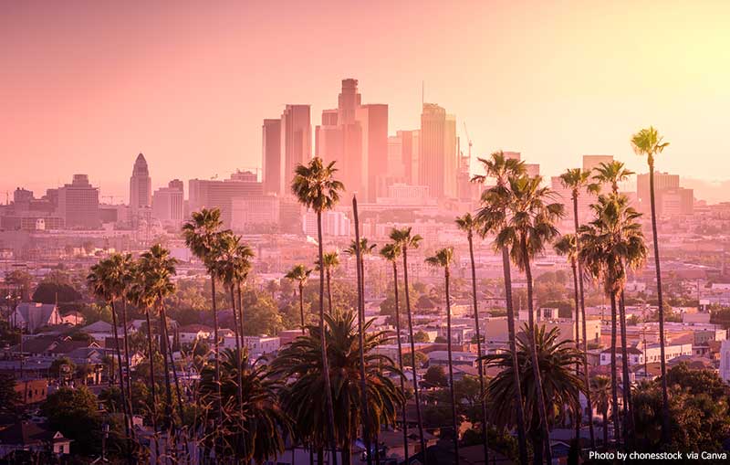 Los Angeles skyline and palm trees