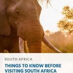 16 Things to Know Before Visiting South Africa