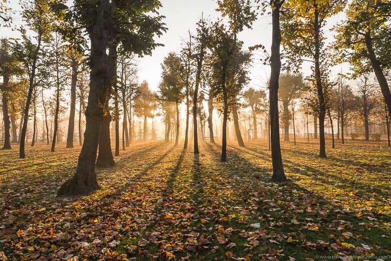 Autumn with beautiful light at sunrise